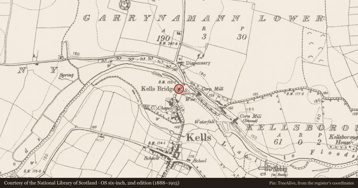 Ordnance Survey six-inch map, 2nd edition (1888–1915) covering the location of Bridge, County Kilkenny, with a pin at the register's coordinates