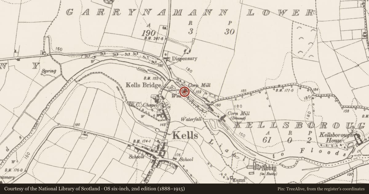 Ordnance Survey six-inch map, 2nd edition (1888–1915) covering the location of Water mill - vertical-wheeled, Garrynamann Lower, County Kilkenny, with a pin at the register's coordinates