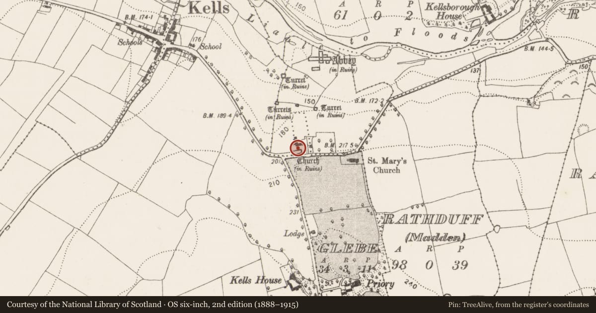 Ordnance Survey six-inch map, 2nd edition (1888–1915) covering the location of Ecclesiastical enclosure, County Kilkenny, with a pin at the register's coordinates