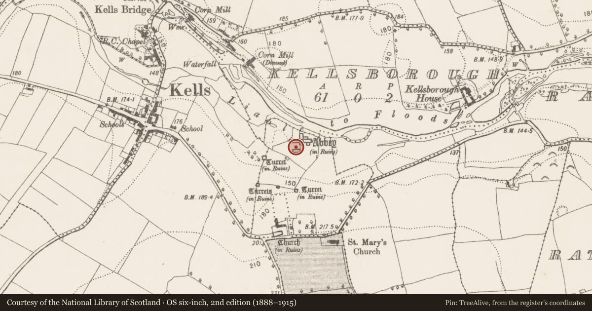 Ordnance Survey six-inch map, 2nd edition (1888–1915) covering the location of Graveslab, Rathduff (Madden), County Kilkenny, with a pin at the register's coordinates