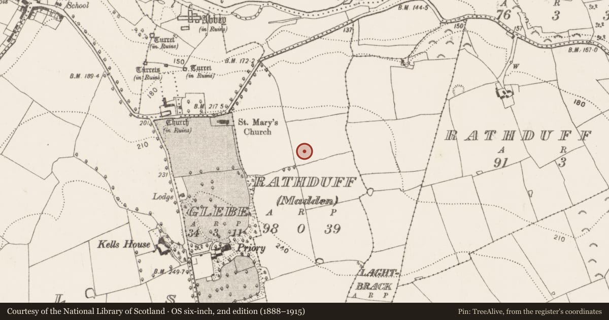 Ordnance Survey six-inch map, 2nd edition (1888–1915) covering the location of Enclosure, Rathduff, County Kilkenny, with a pin at the register's coordinates