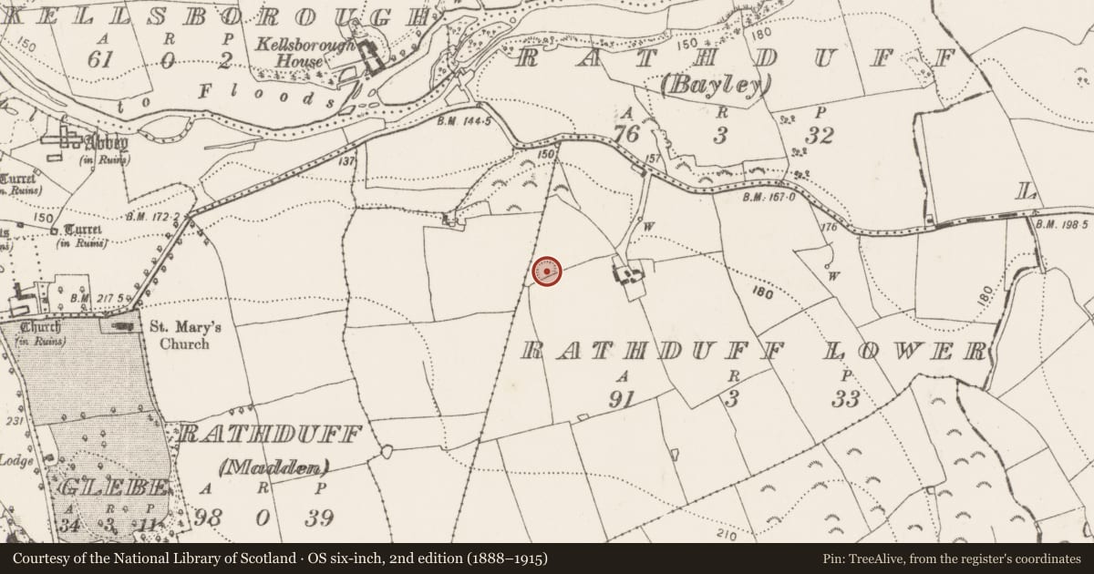 Ordnance Survey six-inch map, 2nd edition (1888–1915) covering the location of Enclosure, Rathduff Lower, County Kilkenny, with a pin at the register's coordinates