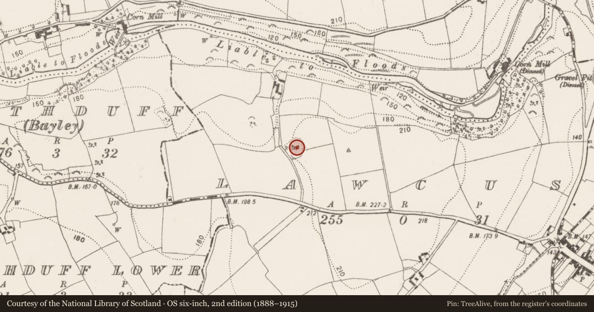 Ordnance Survey six-inch map, 2nd edition (1888–1915) covering the location of Enclosure, Lawcus, County Kilkenny, with a pin at the register's coordinates