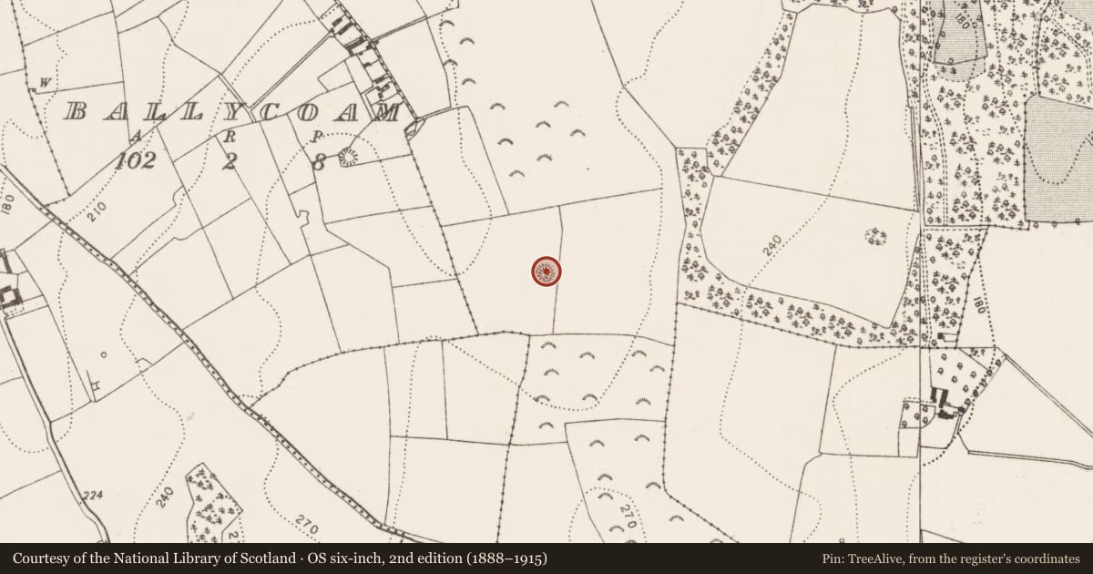 Ordnance Survey six-inch map, 2nd edition (1888–1915) covering the location of Barrow - ring-barrow, Cotterellsbooly, County Kilkenny, with a pin at the register's coordinates