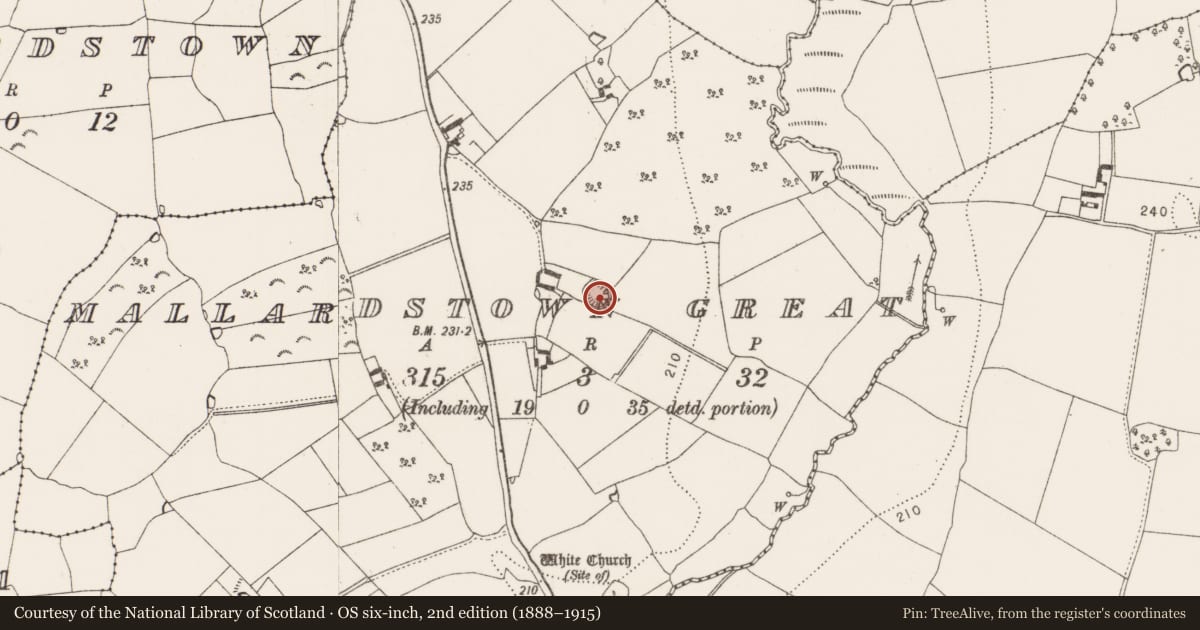 Ordnance Survey six-inch map, 2nd edition (1888–1915) covering the location of Enclosure, Mallardstown Great, County Kilkenny, with a pin at the register's coordinates