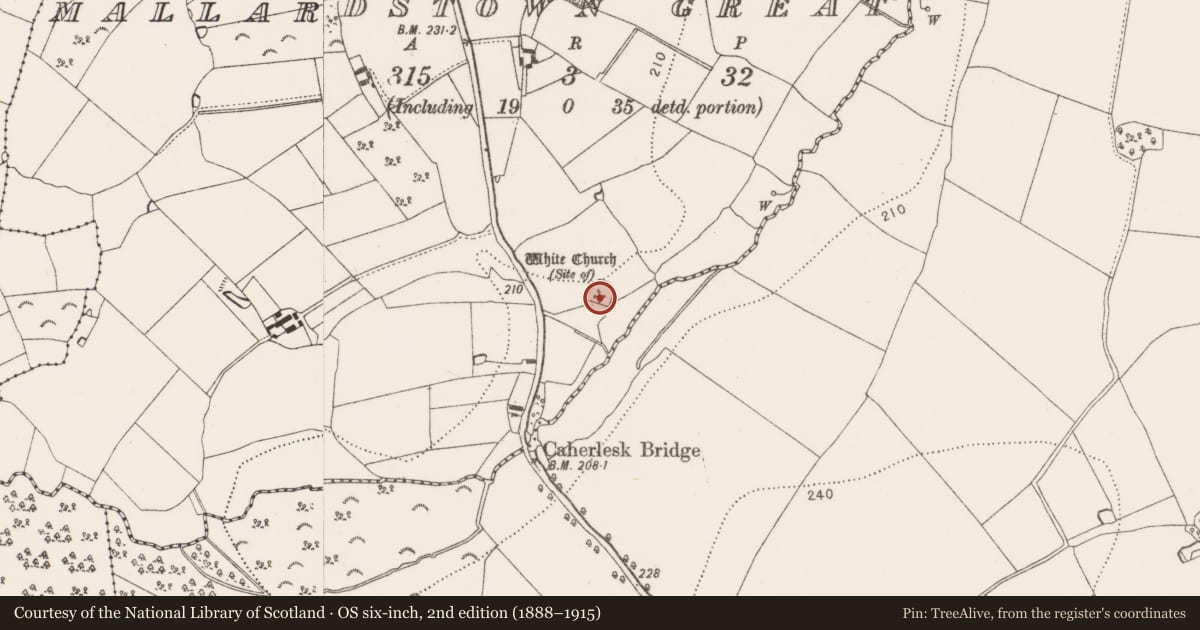 Ordnance Survey six-inch map, 2nd edition (1888–1915) covering the location of Church, Mallardstown Great, County Kilkenny, with a pin at the register's coordinates