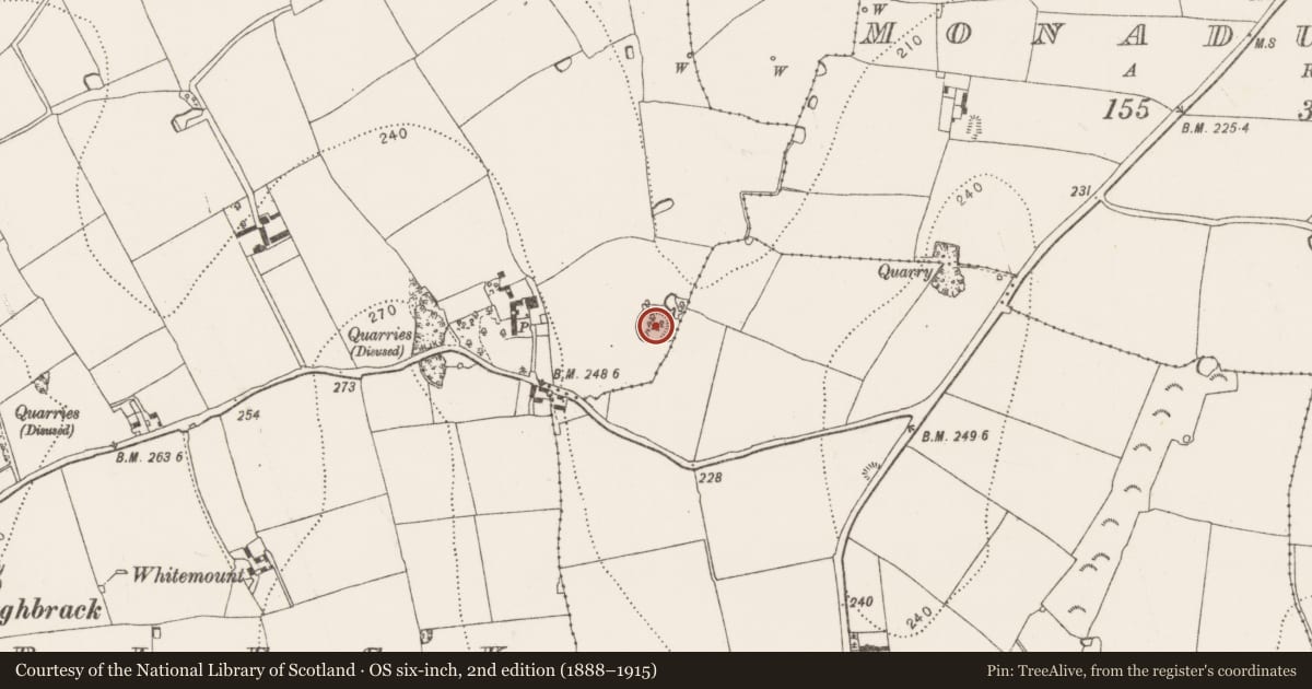 Ordnance Survey six-inch map, 2nd edition (1888–1915) covering the location of Ringfort - unclassified, Caherlesk, County Kilkenny, with a pin at the register's coordinates