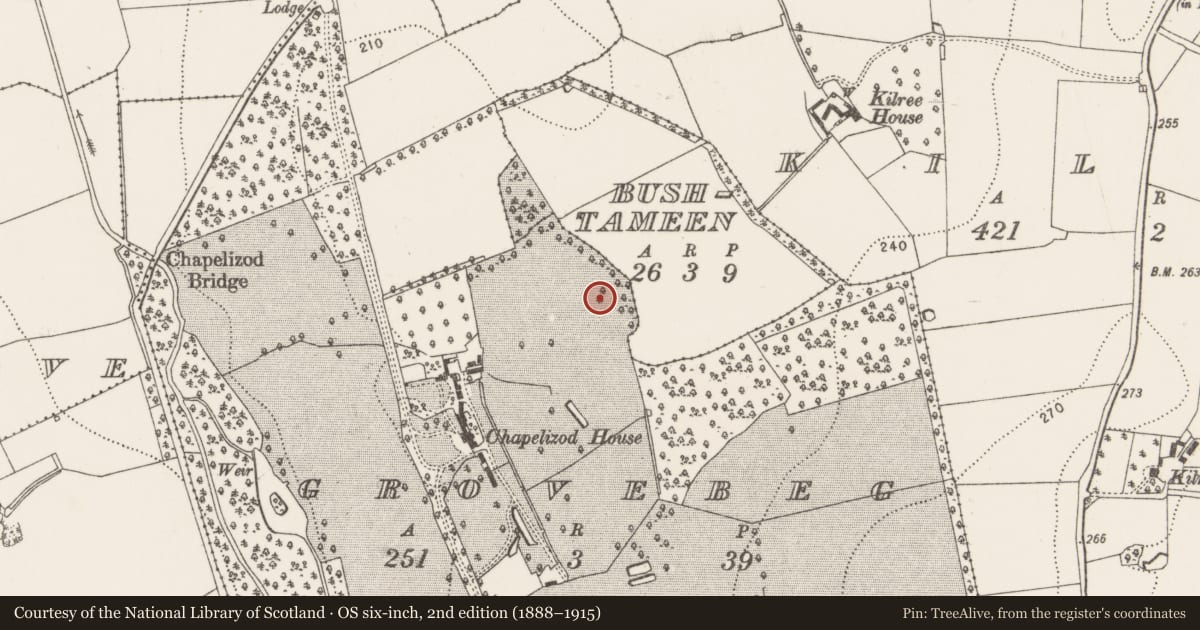 Ordnance Survey six-inch map, 2nd edition (1888–1915) covering the location of Enclosure, Grovebeg, County Kilkenny, with a pin at the register's coordinates