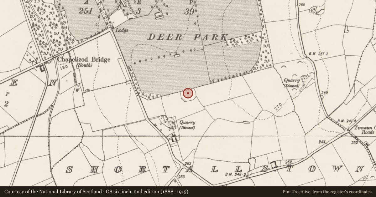Ordnance Survey six-inch map, 2nd edition (1888–1915) covering the location of Ringfort - rath, Shortallstown, Grovebeg, County Kilkenny, with a pin at the register's coordinates