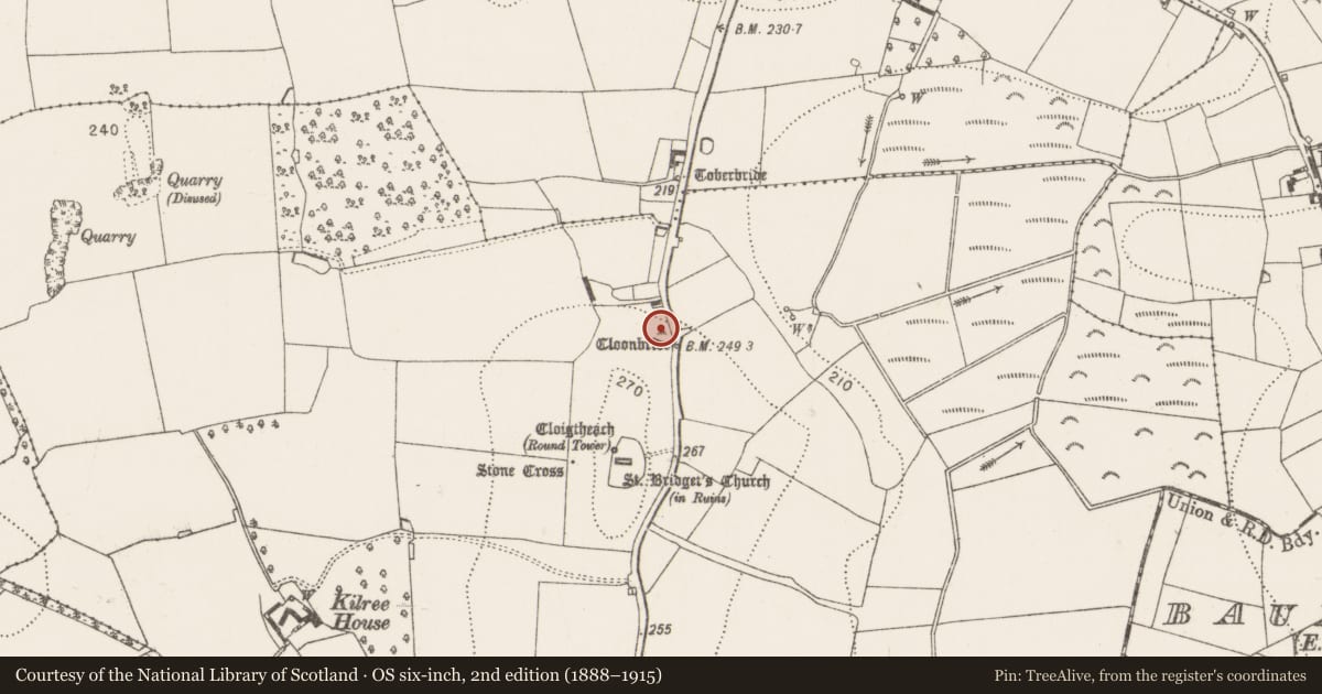 Ordnance Survey six-inch map, 2nd edition (1888–1915) covering the location of Bullaun stone, Kilree, County Kilkenny, with a pin at the register's coordinates