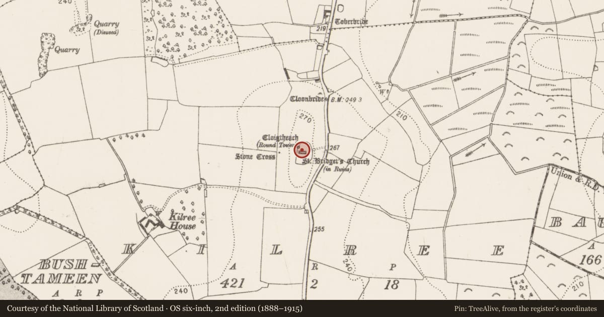 Ordnance Survey six-inch map, 2nd edition (1888–1915) covering the location of Church, Kilree, County Kilkenny, with a pin at the register's coordinates