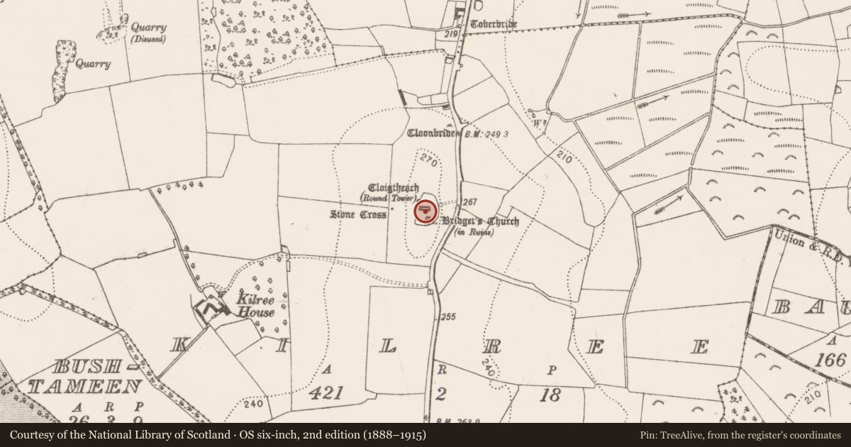 Ordnance Survey six-inch map, 2nd edition (1888–1915) covering the location of Graveyard, Kilree, County Kilkenny, with a pin at the register's coordinates