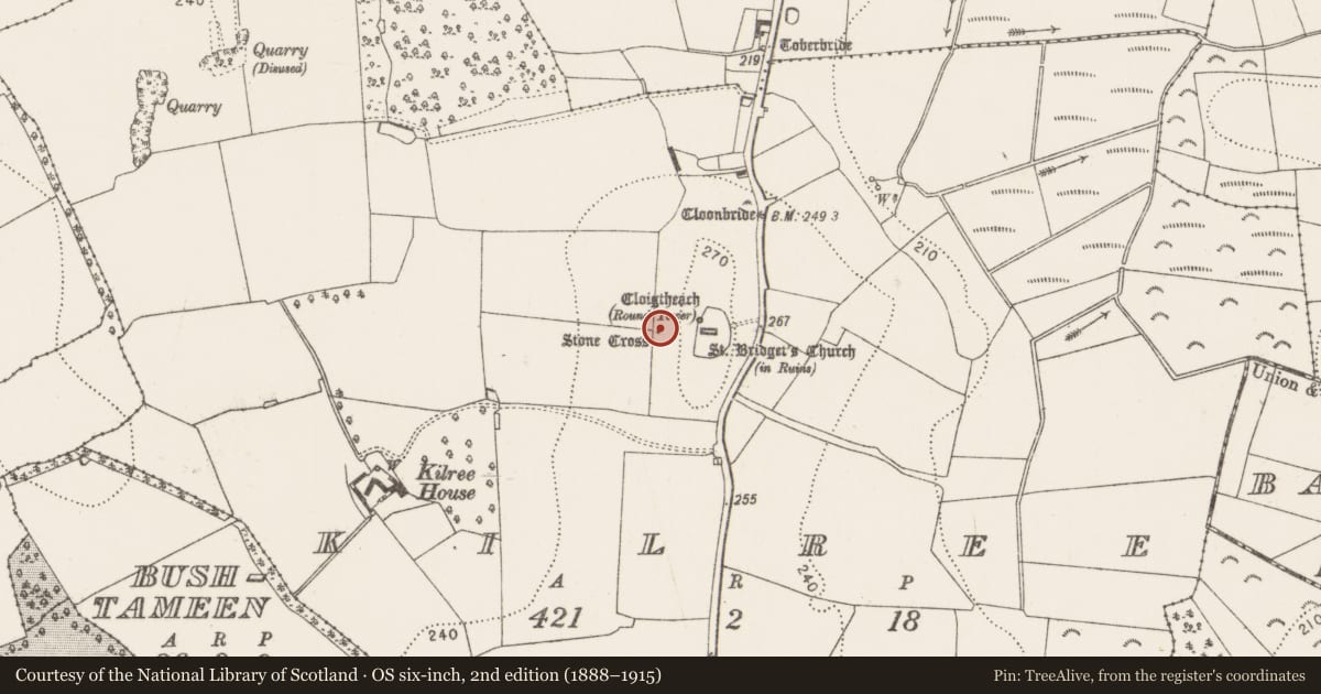 Ordnance Survey six-inch map, 2nd edition (1888–1915) covering the location of Cross - High cross, Kilree, County Kilkenny, with a pin at the register's coordinates