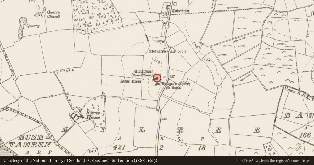 Ordnance Survey six-inch map, 2nd edition (1888–1915) covering the location of Graveslab, Kilree, County Kilkenny, with a pin at the register's coordinates