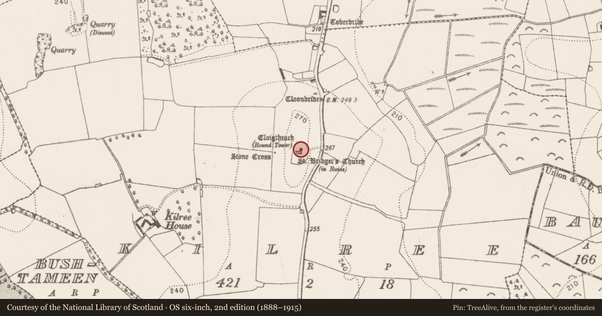 Ordnance Survey six-inch map, 2nd edition (1888–1915) covering the location of Graveslab, Kilree, County Kilkenny, with a pin at the register's coordinates