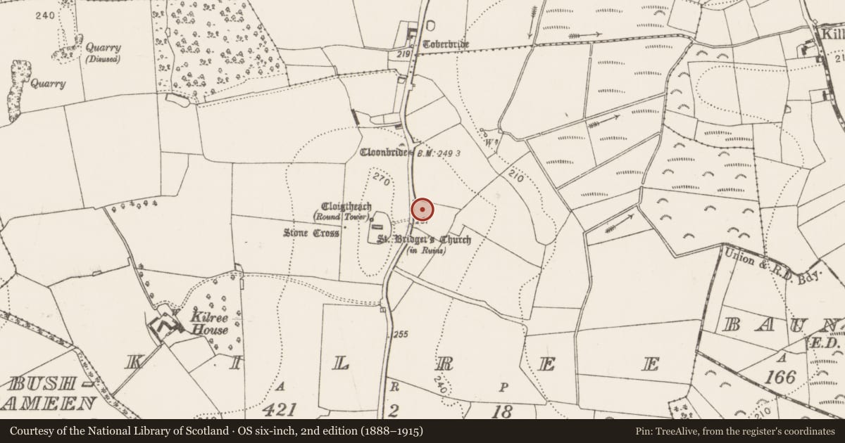 Ordnance Survey six-inch map, 2nd edition (1888–1915) covering the location of Enclosure, Kilree, County Kilkenny, with a pin at the register's coordinates