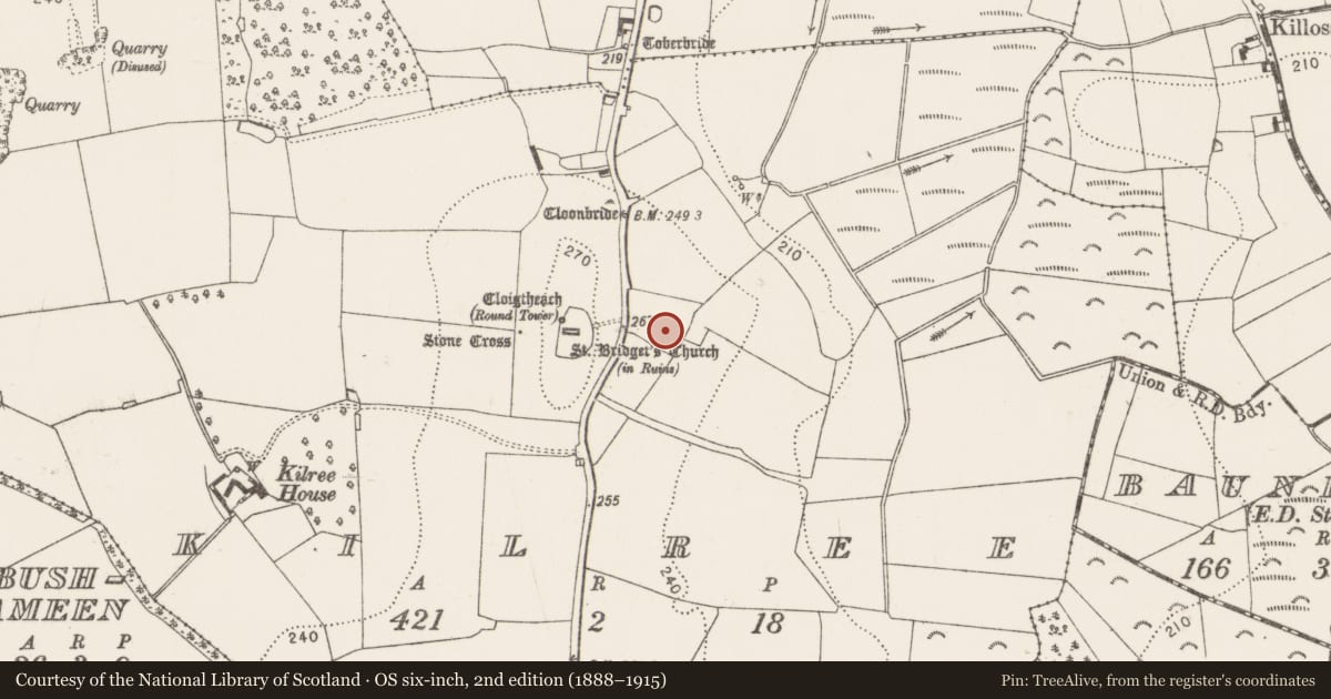 Ordnance Survey six-inch map, 2nd edition (1888–1915) covering the location of Enclosure, Kilree, County Kilkenny, with a pin at the register's coordinates