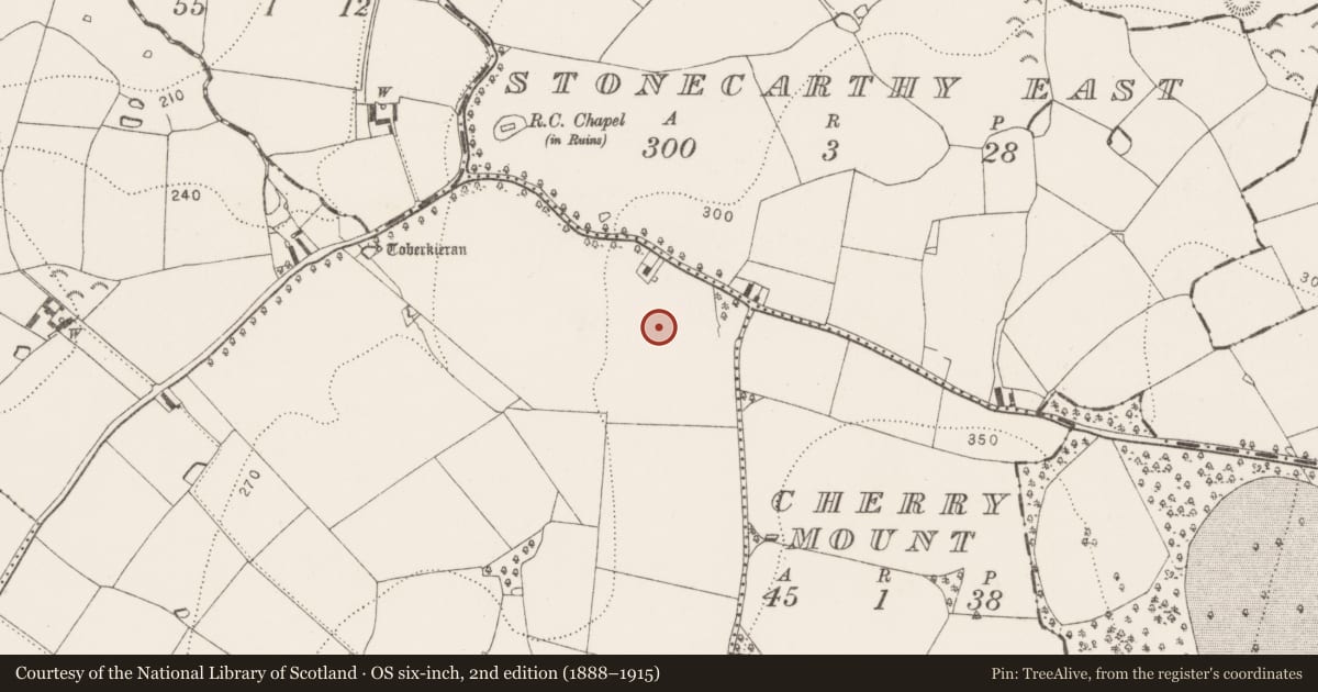 Ordnance Survey six-inch map, 2nd edition (1888–1915) covering the location of Settlement deserted - medieval, Stonecarthy West, County Kilkenny, with a pin at the register's coordinates