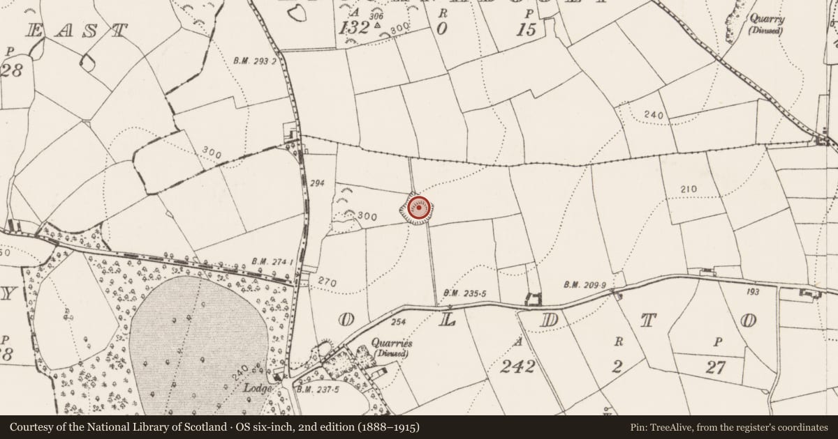 Ordnance Survey six-inch map, 2nd edition (1888–1915) covering the location of Enclosure, Oldtown, County Kilkenny, with a pin at the register's coordinates