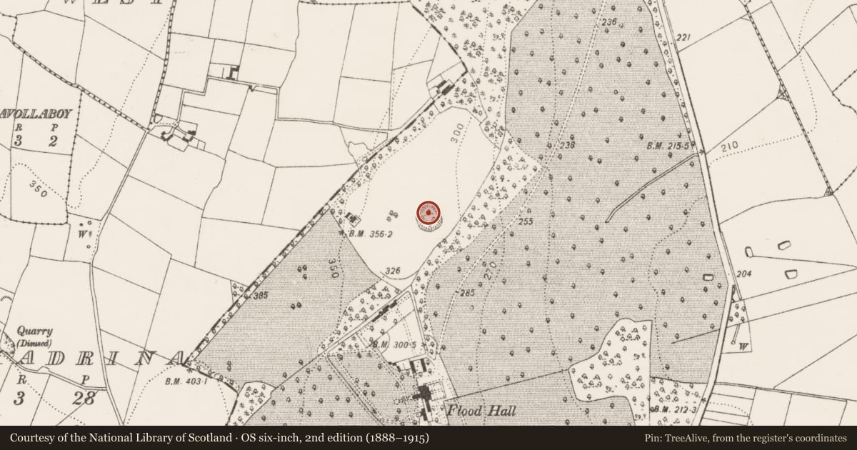 Ordnance Survey six-inch map, 2nd edition (1888–1915) covering the location of Ringfort - rath, Floodhall Or Rathtooterny, County Kilkenny, with a pin at the register's coordinates