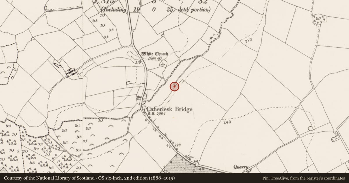 Ordnance Survey six-inch map, 2nd edition (1888–1915) covering the location of Ritual site - holy well, Caherlesk, County Kilkenny, with a pin at the register's coordinates