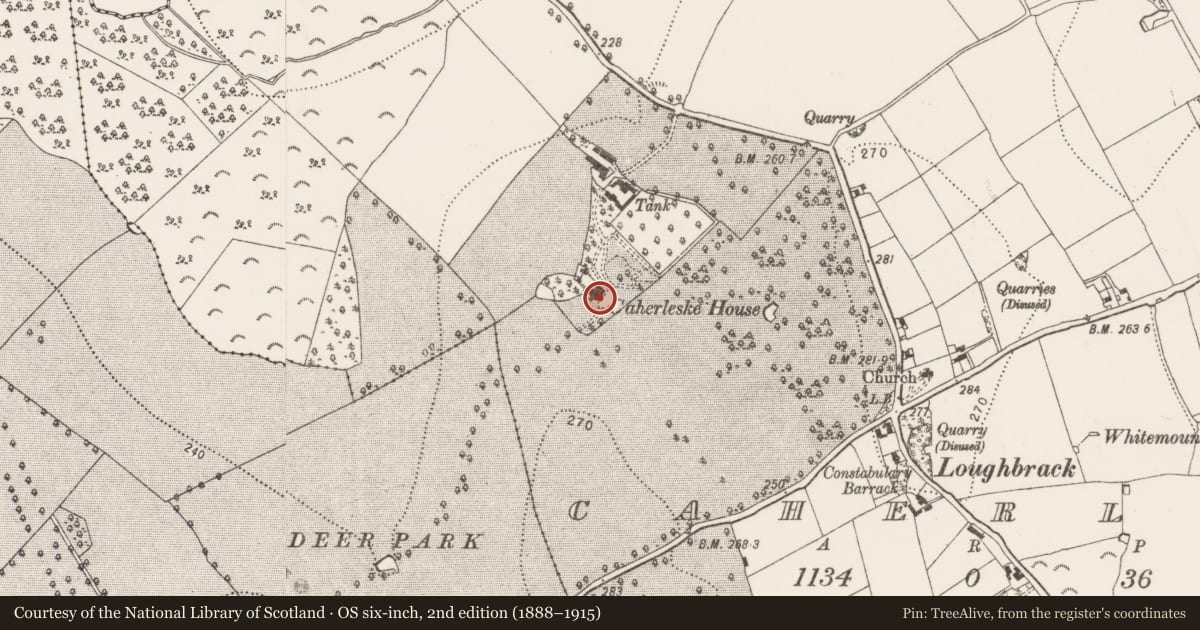 Ordnance Survey six-inch map, 2nd edition (1888–1915) covering the location of Castle - unclassified, Caherlesk, County Kilkenny, with a pin at the register's coordinates