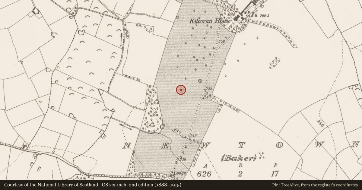 Ordnance Survey six-inch map, 2nd edition (1888–1915) covering the location of Enclosure, Newtown (Baker), County Kilkenny, with a pin at the register's coordinates