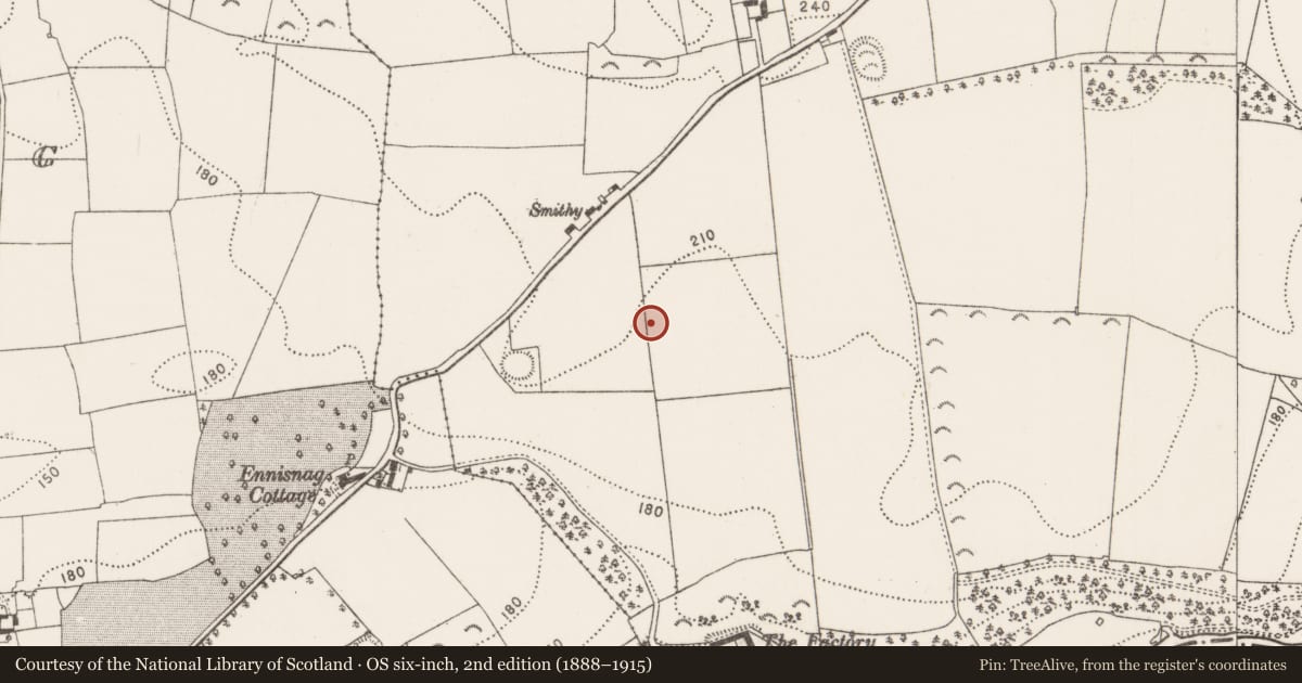 Ordnance Survey six-inch map, 2nd edition (1888–1915) covering the location of Enclosure, Annamult, County Kilkenny, with a pin at the register's coordinates