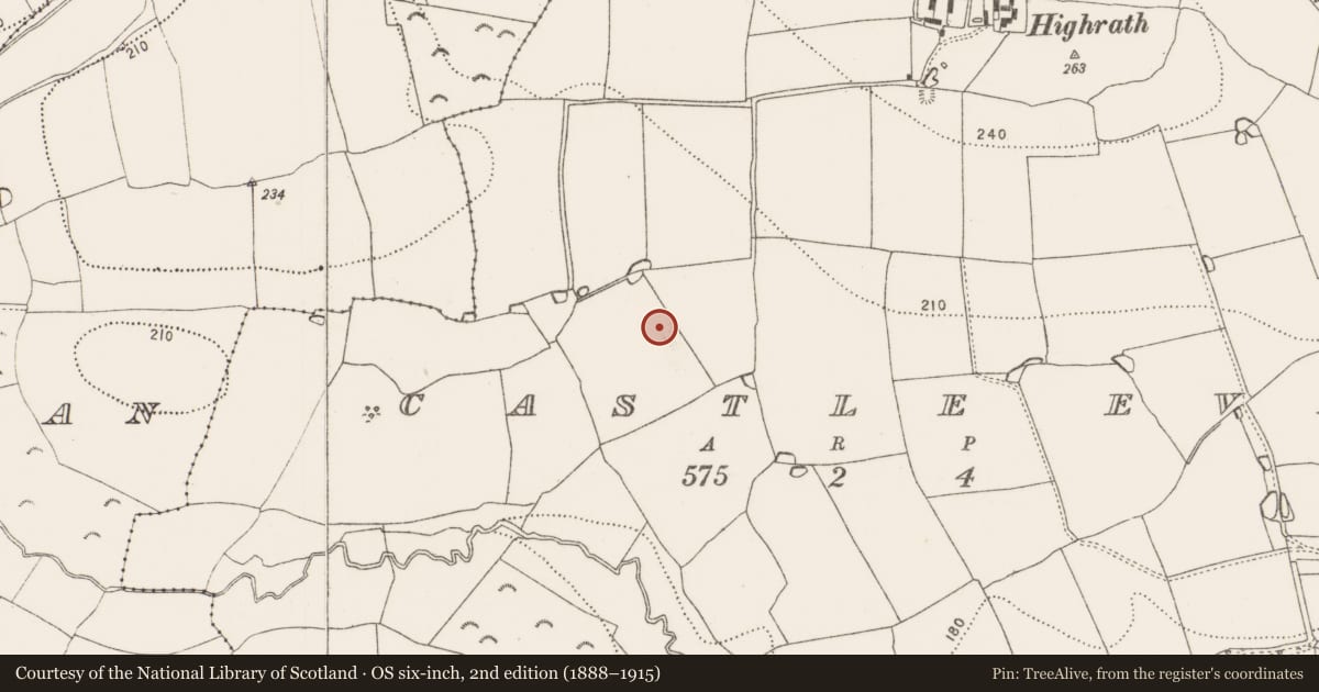 Ordnance Survey six-inch map, 2nd edition (1888–1915) covering the location of Enclosure, Castle Eve, County Kilkenny, with a pin at the register's coordinates