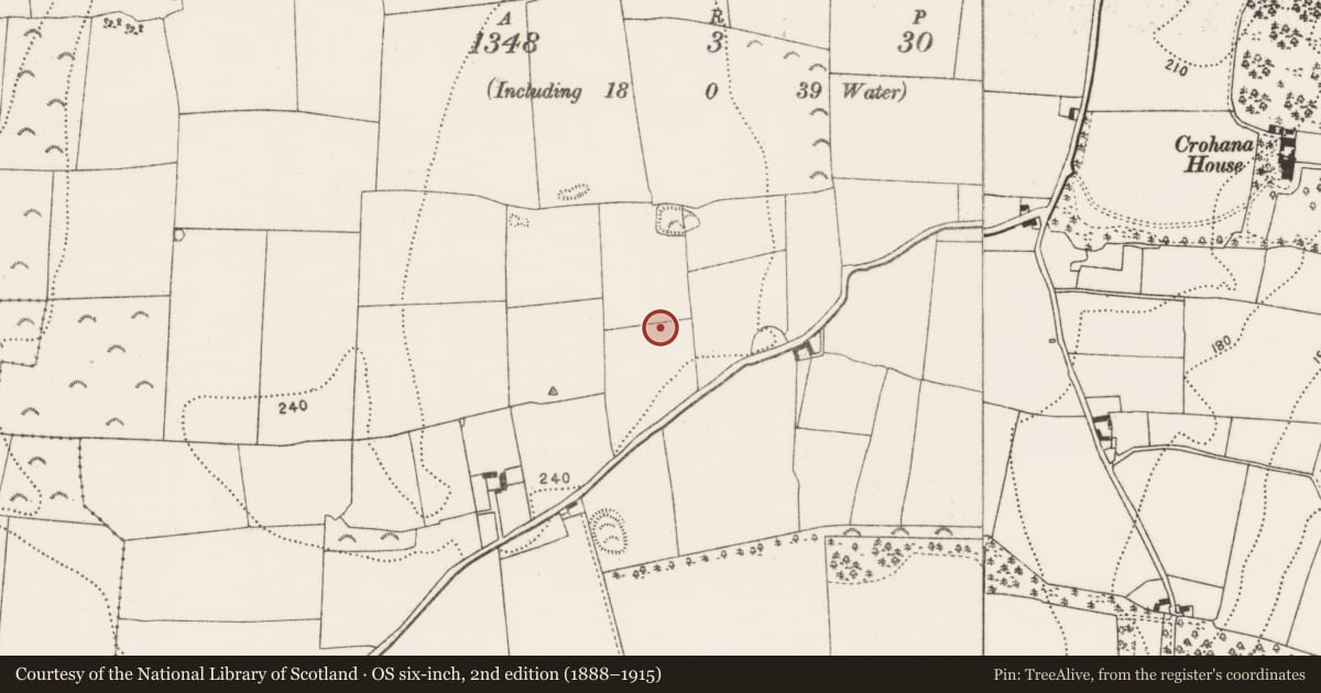 Ordnance Survey six-inch map, 2nd edition (1888–1915) covering the location of Enclosure, Annamult, County Kilkenny, with a pin at the register's coordinates