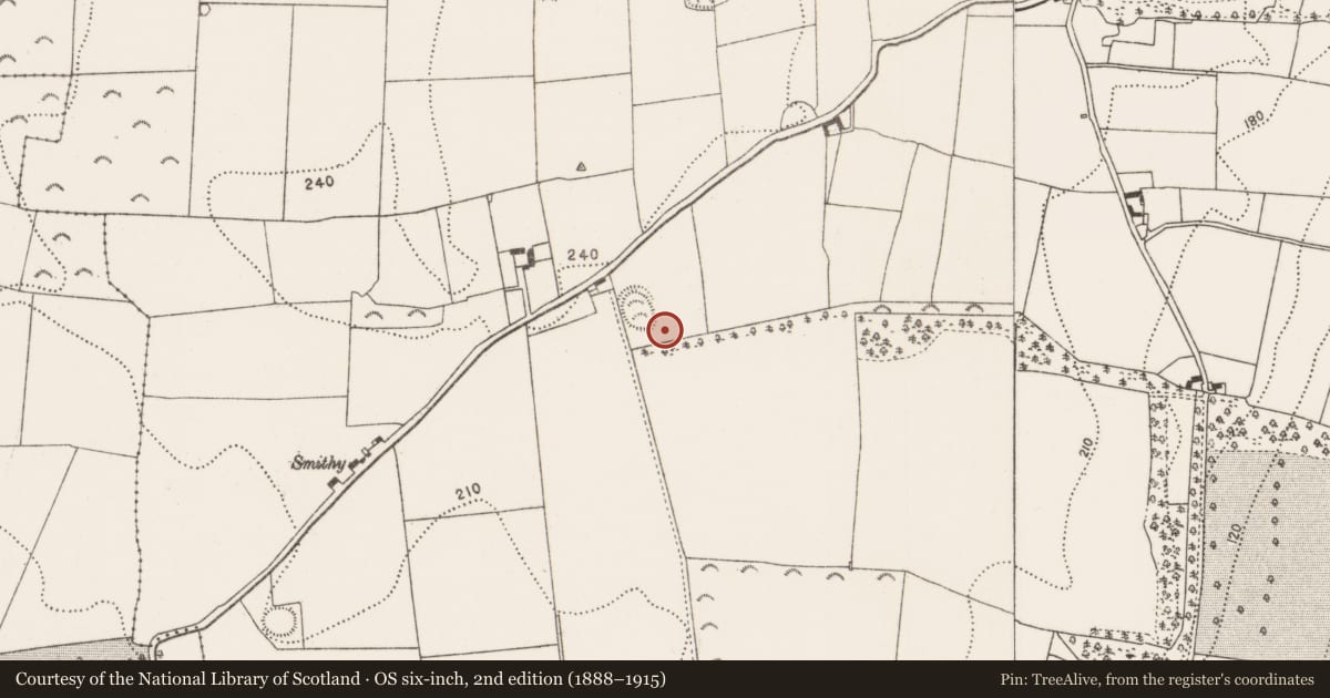 Ordnance Survey six-inch map, 2nd edition (1888–1915) covering the location of Enclosure, Annamult, County Kilkenny, with a pin at the register's coordinates