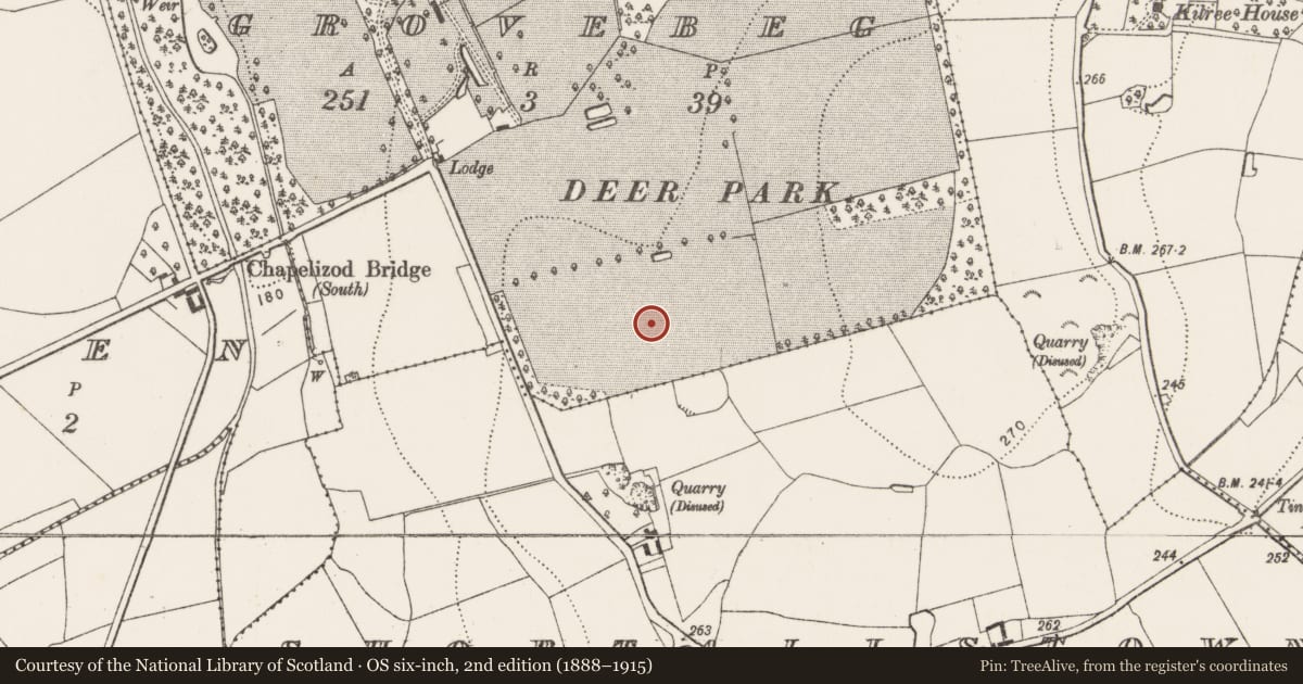 Ordnance Survey six-inch map, 2nd edition (1888–1915) covering the location of Enclosure, Grovebeg, County Kilkenny, with a pin at the register's coordinates