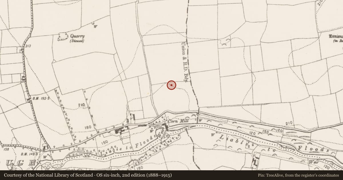 Ordnance Survey six-inch map, 2nd edition (1888–1915) covering the location of Enclosure, Kellsgrange, County Kilkenny, with a pin at the register's coordinates