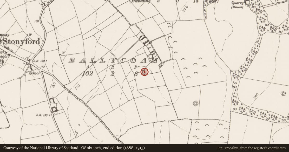 Ordnance Survey six-inch map, 2nd edition (1888–1915) covering the location of Burial, Ballycoam, County Kilkenny, with a pin at the register's coordinates