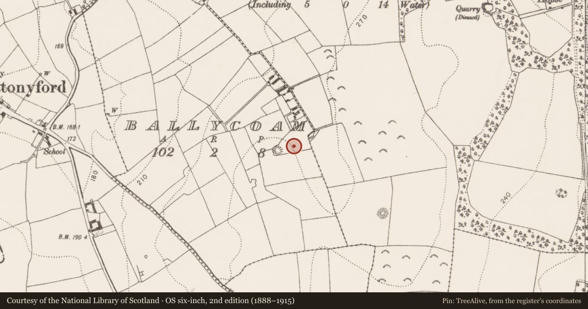 Ordnance Survey six-inch map, 2nd edition (1888–1915) covering the location of Ring-ditch, Ballycoam, County Kilkenny, with a pin at the register's coordinates