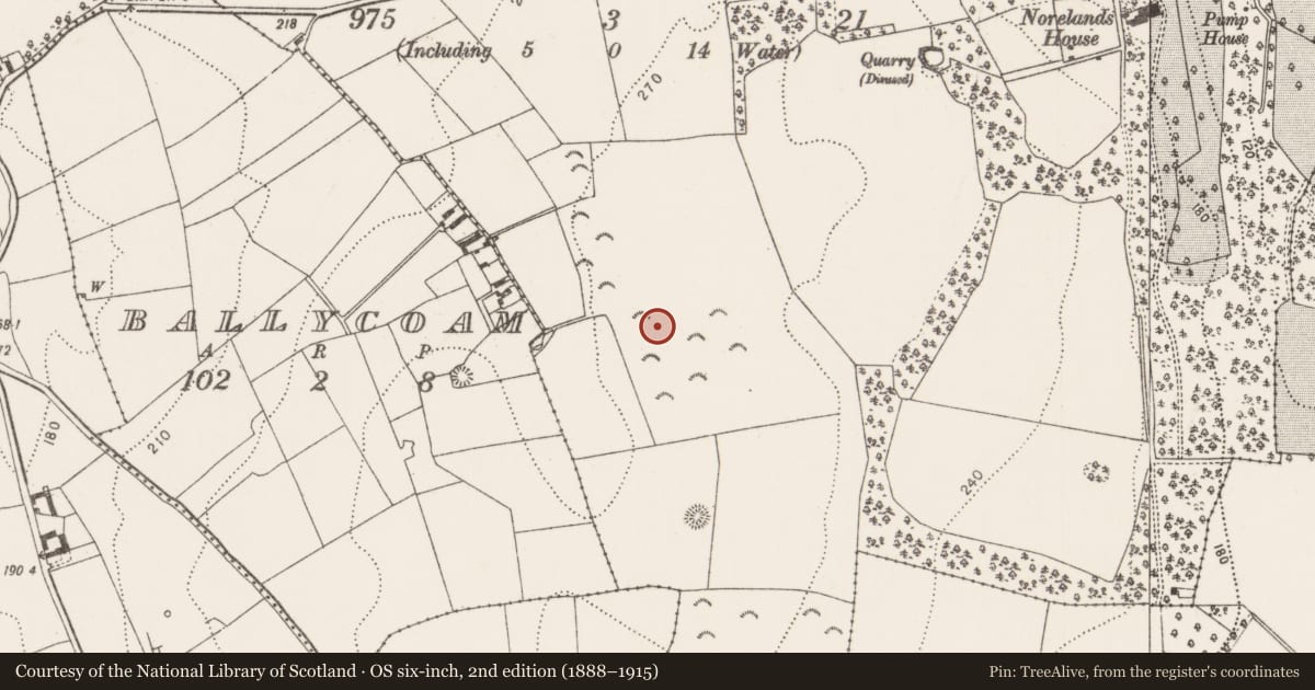 Ordnance Survey six-inch map, 2nd edition (1888–1915) covering the location of Enclosure, Cotterellsbooly, County Kilkenny, with a pin at the register's coordinates