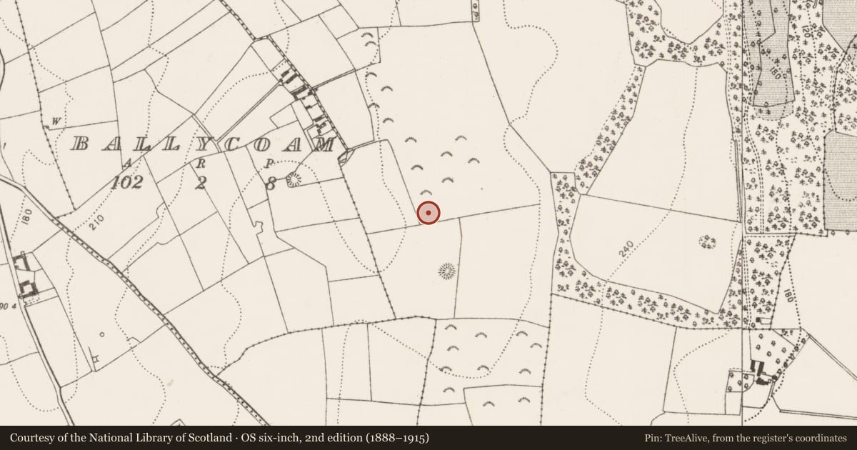 Ordnance Survey six-inch map, 2nd edition (1888–1915) covering the location of Enclosure, Cotterellsbooly, County Kilkenny, with a pin at the register's coordinates