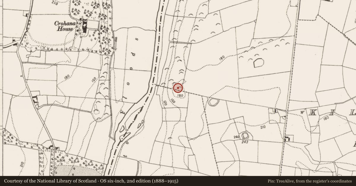 Ordnance Survey six-inch map, 2nd edition (1888–1915) covering the location of Enclosure, Knockanore, County Kilkenny, with a pin at the register's coordinates