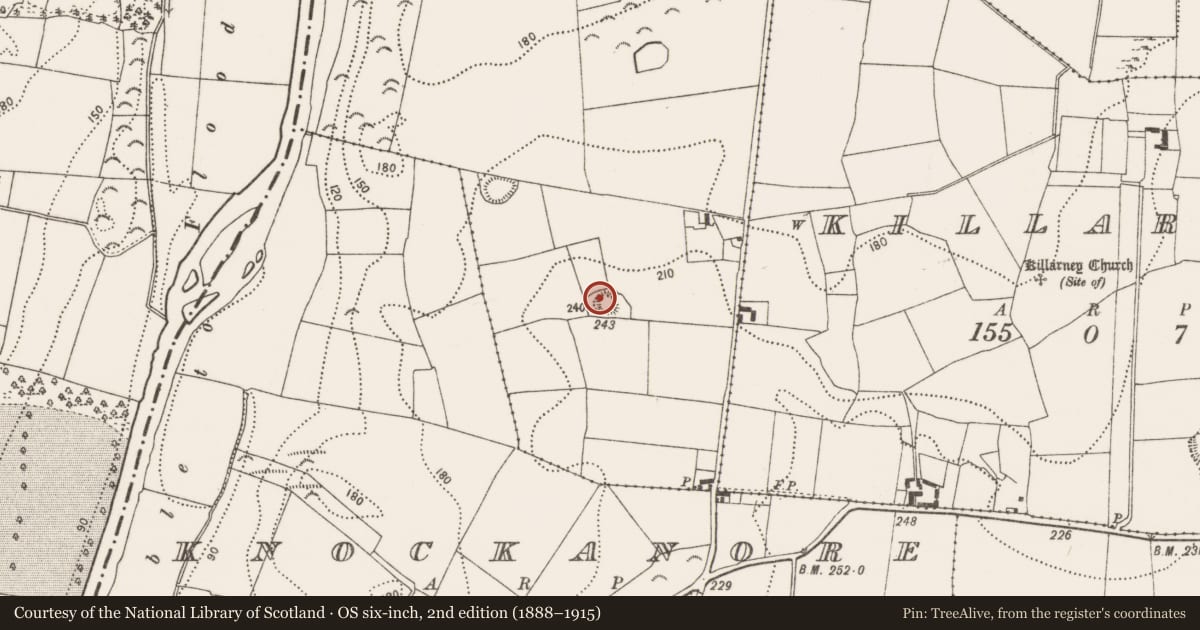 Ordnance Survey six-inch map, 2nd edition (1888–1915) covering the location of Enclosure, Woolengrange, County Kilkenny, with a pin at the register's coordinates