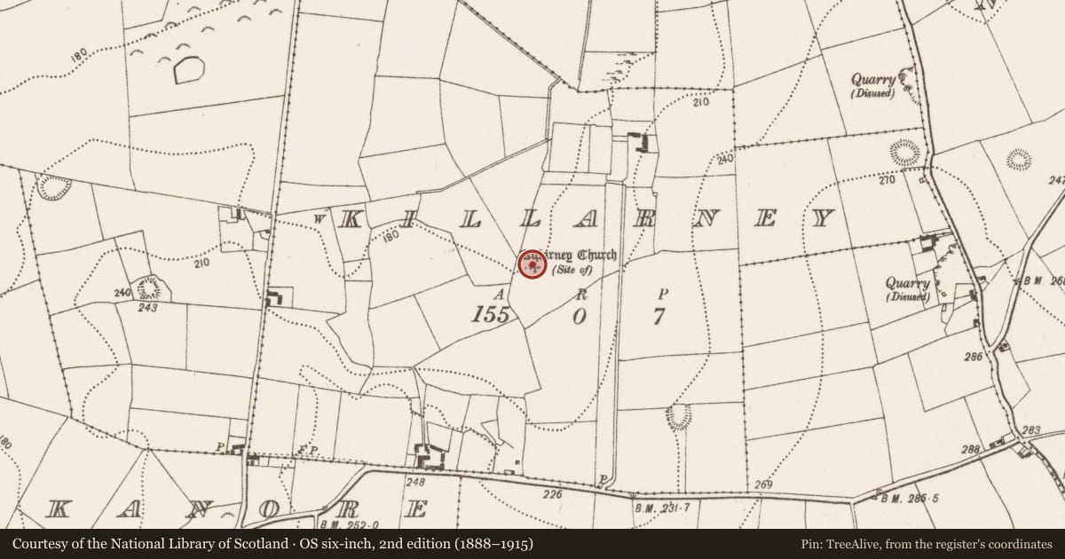 Ordnance Survey six-inch map, 2nd edition (1888–1915) covering the location of Church, Killarney, County Kilkenny, with a pin at the register's coordinates