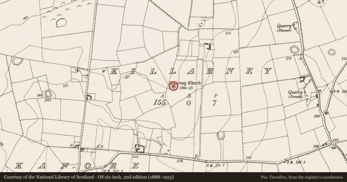 Ordnance Survey six-inch map, 2nd edition (1888–1915) covering the location of Graveyard, Killarney, County Kilkenny, with a pin at the register's coordinates