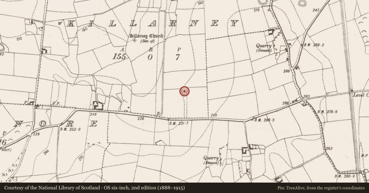 Ordnance Survey six-inch map, 2nd edition (1888–1915) covering the location of Enclosure, Killarney, County Kilkenny, with a pin at the register's coordinates