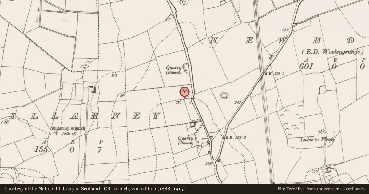 Ordnance Survey six-inch map, 2nd edition (1888–1915) covering the location of Souterrain, Killarney, County Kilkenny, with a pin at the register's coordinates