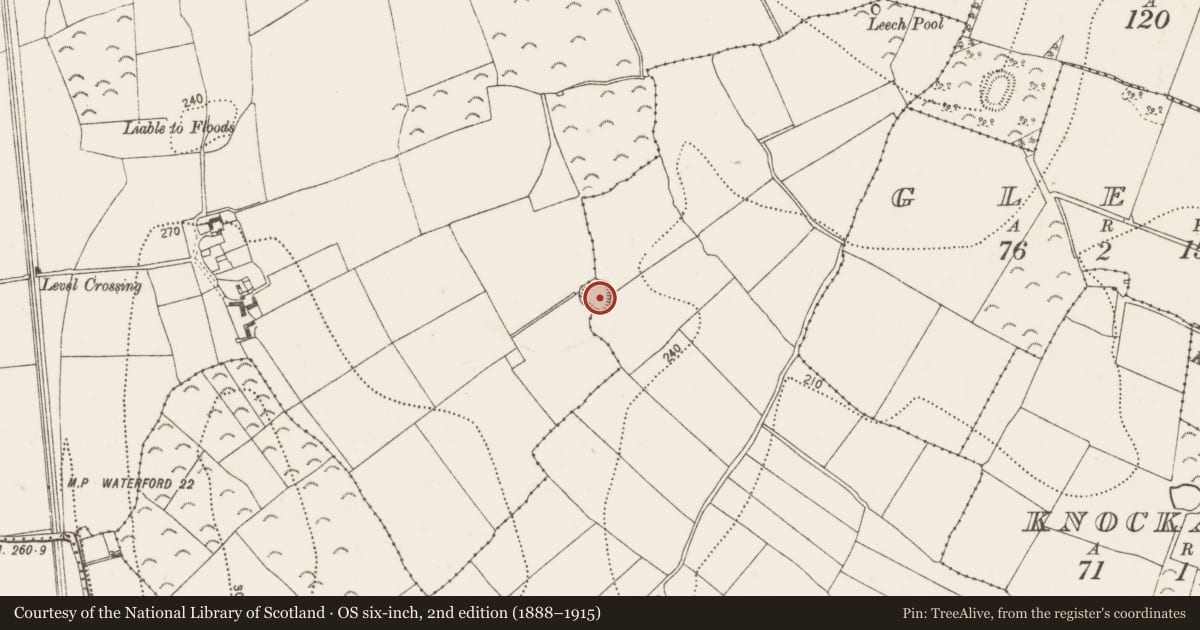 Ordnance Survey six-inch map, 2nd edition (1888–1915) covering the location of Enclosure, Smithstown Upper, County Kilkenny, with a pin at the register's coordinates