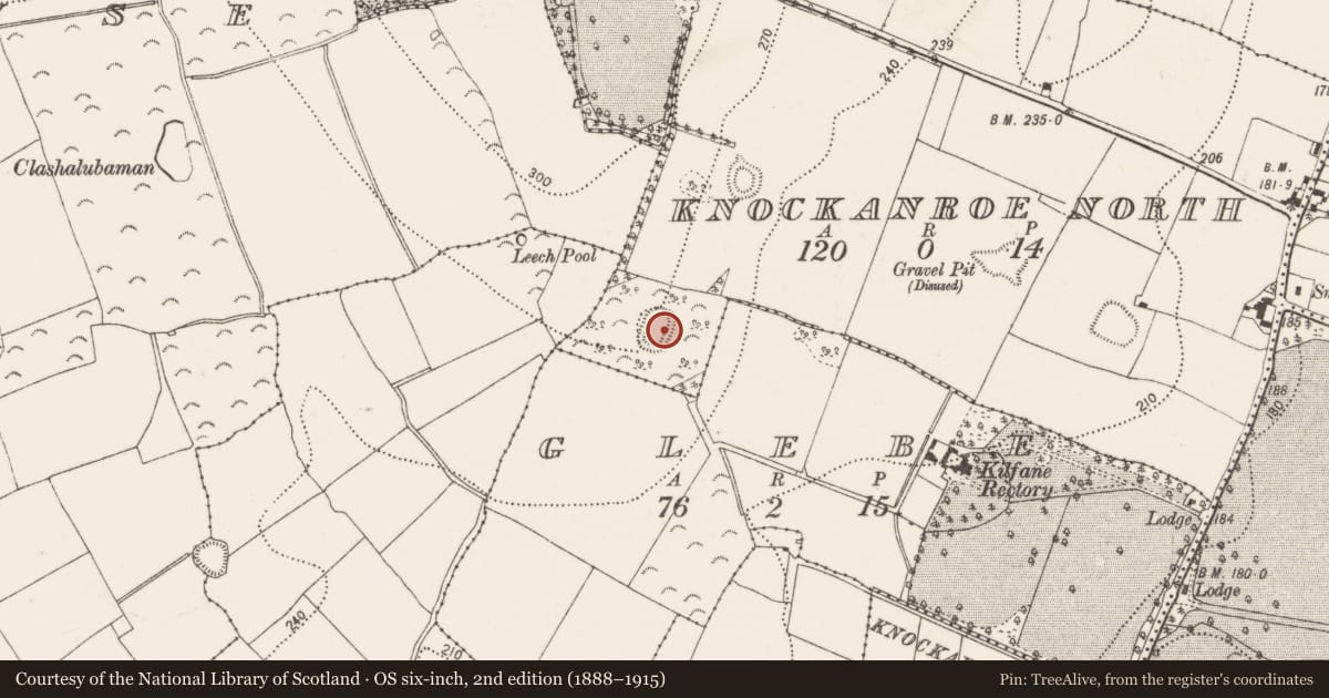 Ordnance Survey six-inch map, 2nd edition (1888–1915) covering the location of Enclosure, Knockanroe North, County Kilkenny, with a pin at the register's coordinates