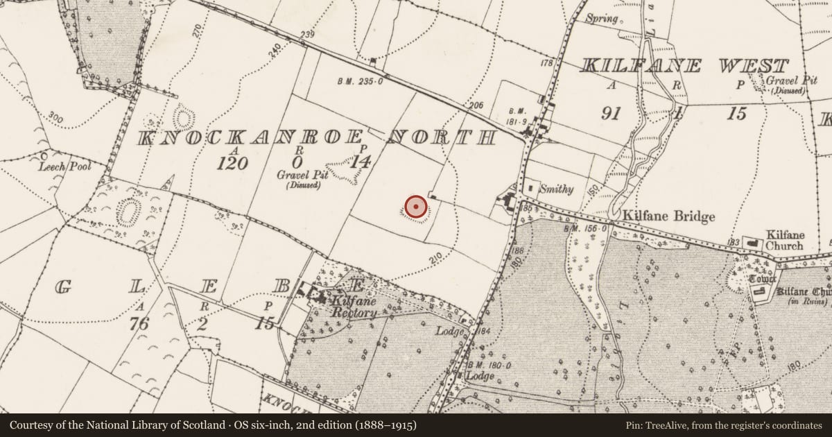 Ordnance Survey six-inch map, 2nd edition (1888–1915) covering the location of Enclosure, Knockanroe North, County Kilkenny, with a pin at the register's coordinates