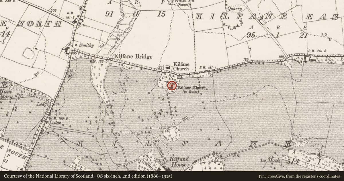 Ordnance Survey six-inch map, 2nd edition (1888–1915) covering the location of Castle - tower house, Kilfane Demesne, County Kilkenny, with a pin at the register's coordinates