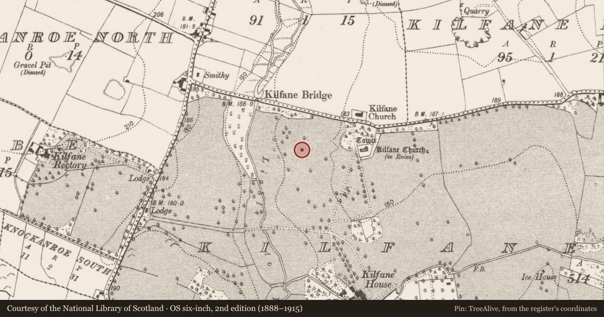 Ordnance Survey six-inch map, 2nd edition (1888–1915) covering the location of Earthwork, Kilfane Demesne, County Kilkenny, with a pin at the register's coordinates