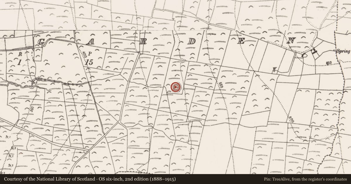 Ordnance Survey six-inch map, 2nd edition (1888–1915) covering the location of Enclosure, Castlegarden, County Kilkenny, with a pin at the register's coordinates