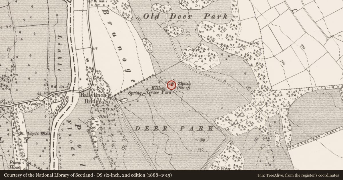 Ordnance Survey six-inch map, 2nd edition (1888–1915) covering the location of Church, Ballylinch Demesne, County Kilkenny, with a pin at the register's coordinates